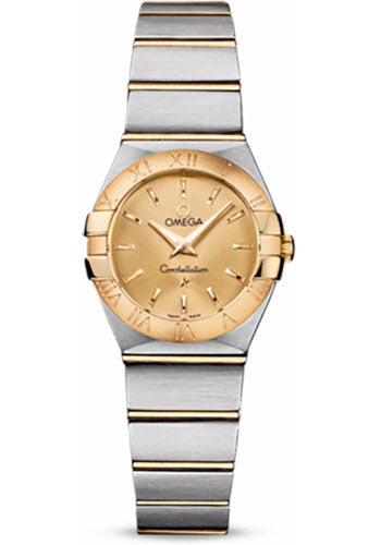Pre-owned Omega Ladies Constellation — 123.20.24.60.08.001