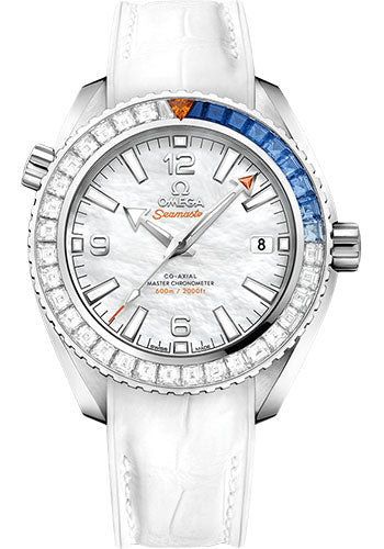 Pre-owned Omega Planet Ocean 600M — 215.58.40.20.05.001