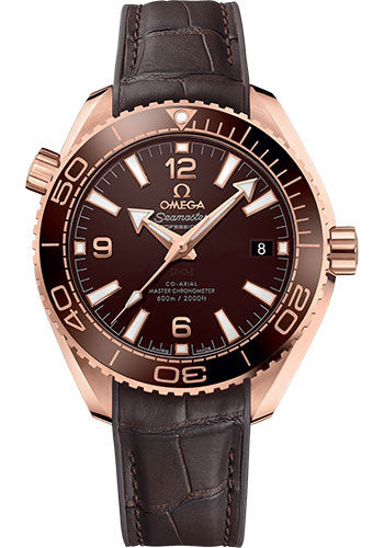 Pre-owned Omega Planet Ocean 600M — 215.63.40.20.13.001