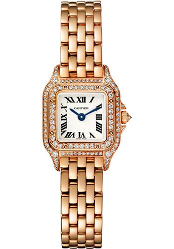 Pre-owned Cartier Panthere de Cartier — WJPN0020