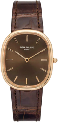 Patek Philippe Golden Ellipse Brown Rose Gold 3738/100R-001 watch