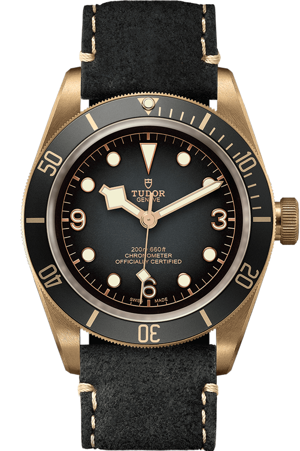 Tudor Black Bay Bronze 43mm Bronze Slate grey Dial M79250BA-0001