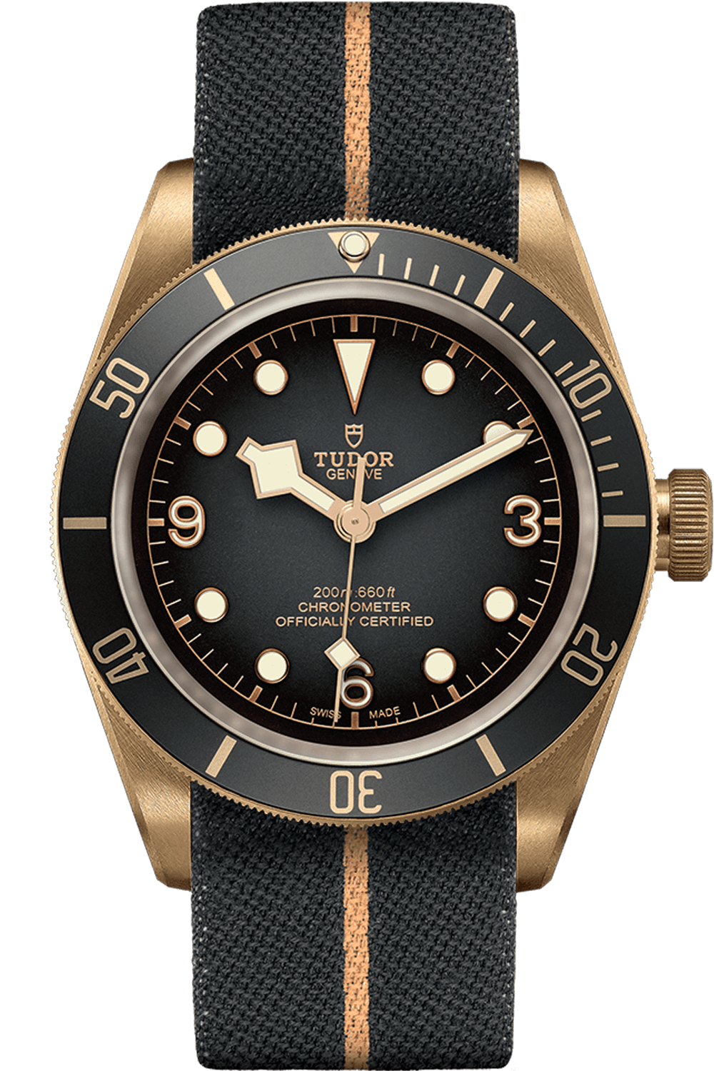 Tudor Black Bay Bronze 43mm Bronze Slate Grey Dial M79250BA-0002
