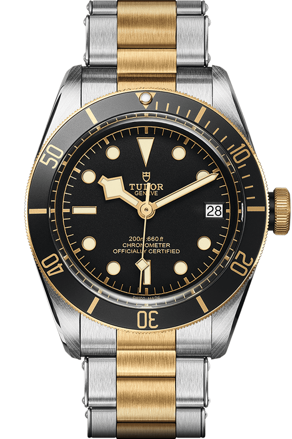 Tudor Black Bay S&G 41mm Steel Yellow Gold Black Dial M79733N-0008
